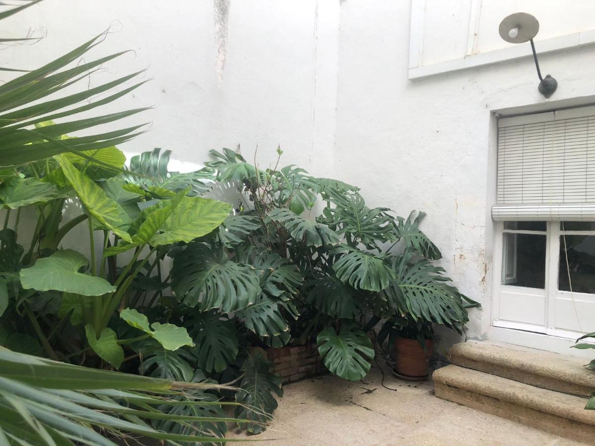 Apartamentos Tukasa Vintage Caces Zewnętrze zdjęcie